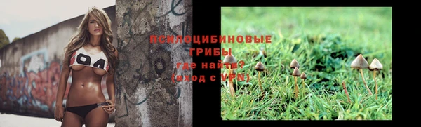 индика Армянск