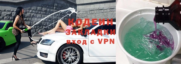 индика Аркадак