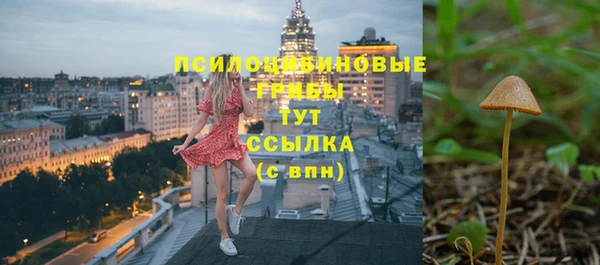 индика Армянск