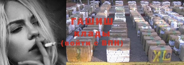 индика Аркадак