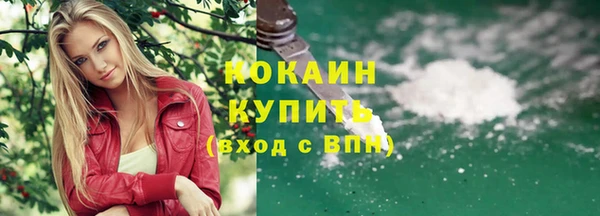 индика Армянск